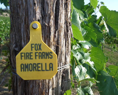 Fox Fire Farms :: Aromella