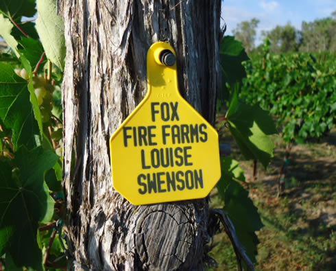 Fox Fire Farms :: Louise Swenson