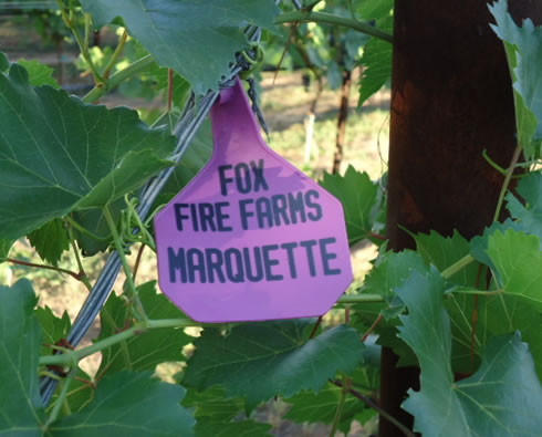 Fox Fire Farms :: Marquette​