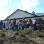 Fox Fire Farms :: Winery Vineyard