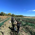 Fox Fire Farms :: A Winery In Ignacio, Colorado